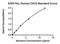 Human Carbonic Anhydrase 12, CA12 ELISA Kit