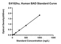 Human Bcl2 Antagonist of Cell Death, BAD ELISA Kit