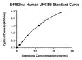 Human Netrin Receptor Unc5B, UNC5B ELISA Kit