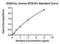 Human Butyrophilin Subfamily 1 Member A1, BTN1A1 ELISA Kit