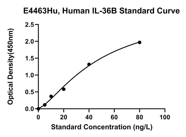 Human Interleukin 36 Beta, IL-36B ELISA Kit