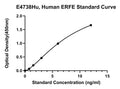 Human Erythroferrone, ERFE ELISA Kit