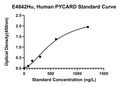 Human Apoptosis-associated Speck-like Protein Containing A Card, PYCARD ELISA Kit