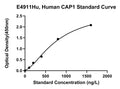 Human Adenylyl Cyclase-associated Protein 1, CAP1 ELISA Kit