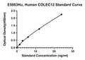Human Collectin-12, COLEC12 ELISA Kit