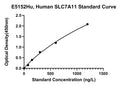 Human Cystine Glutamate Transporter, SLC7A11 ELISA Kit