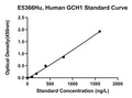 Human Gtp Cyclohydrolase 1, GCH1 ELISA Kit