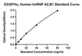Human Heterogeneous Nuclear Ribonucleoprotein A2, B1, Hnrnp A2, B1 ELISA Kit