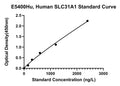 Human High Affinity Copper Uptake Protein 1, SLC31A1 ELISA Kit