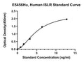 Human Immunoglobulin Superfamily Containing Leucine-rich Repeat Protein, ISLR ELISA Kit