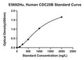 Human M-phase Inducer Phosphatase 2, CDC25B ELISA Kit