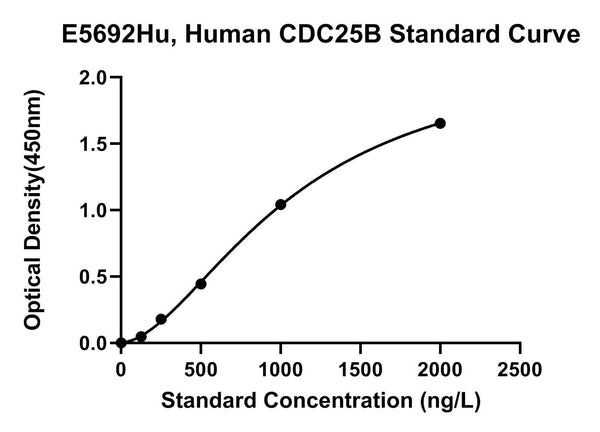 Human M-phase Inducer Phosphatase 2, CDC25B ELISA Kit