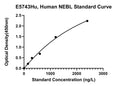 Human Nebulette, NEBL ELISA Kit