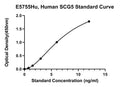 Human Neuroendocrine Protein 7B2, SCG5 ELISA Kit