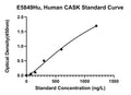 Human Peripheral Plasma Membrane Protein Cask, CASK ELISA Kit