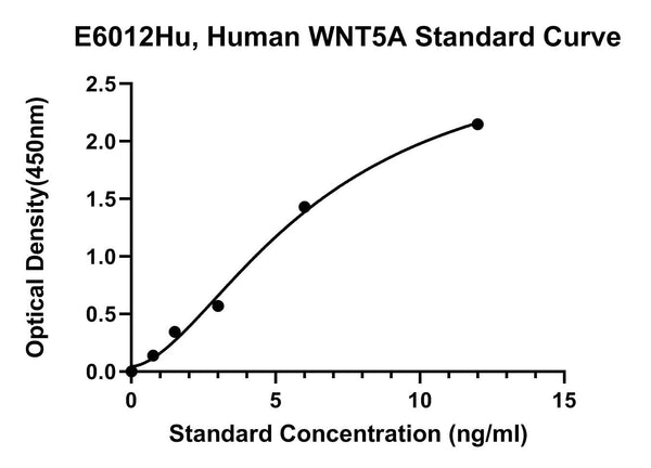 Human Protein Wnt-5A, WNT5A ELISA Kit