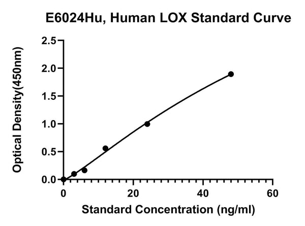 Human Protein-lysine 6-Oxidase, LOX ELISA Kit