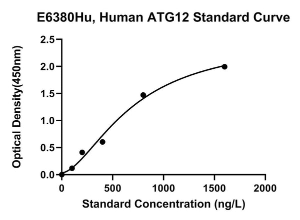 Human Ubiquitin-like Protein Atg12, ATG12 ELISA Kit