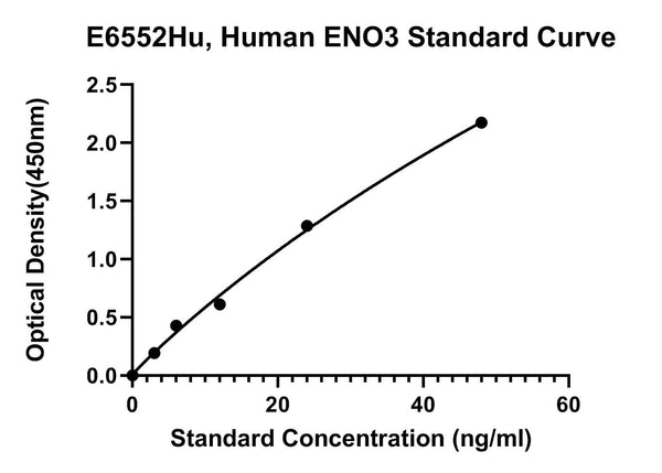 Human Beta-Enolase, ENO3 ELISA Kit