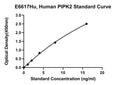 Human Receptor-interacting Serine/Threonine-protein Kinase 2, PIPK2 ELISA Kit