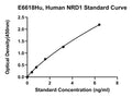 Human Nardilysin, NRD1 ELISA Kit