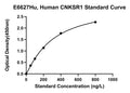 Human Connector Enhancer of Kinase Suppressor of Ras 1, CNKSR1 ELISA Kit