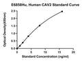 Human Caveolin 2, CAV2 ELISA Kit