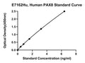 Human Paired Box Protein Pax-8, PAX8 ELISA Kit