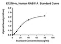 Human Ras-related Protein Rab-11A, RAB11A ELISA Kit