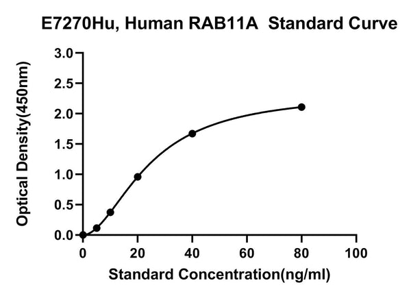 Human Ras-related Protein Rab-11A, RAB11A ELISA Kit