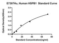 Human Heat Shock Protein Beta-1, HSPB1 ELISA Kit