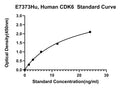 Human Cyclin Dependent Kinase 6, CDK6 ELISA Kit