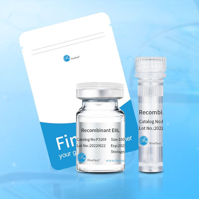 Recombinant Human HSF1