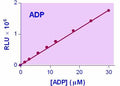 EnzyLight™ ADP Assay Kit