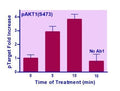 EnzyFluo™ Human/Mouse AKT1(S473) Phosphorylation ELISA Kit