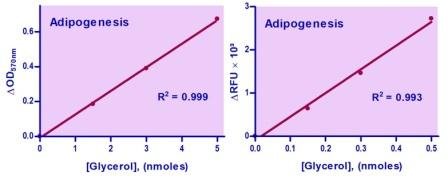 EnzyChrom™ Adipogenesis Assay Kit