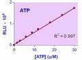 EnzyLight™ ATP Assay Kit