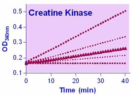 EnzyChrom™ Creatine Kinase Assay Kit