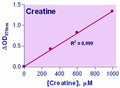 EnzyChrom™ Creatine Assay Kit