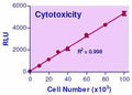 EnzyLight™ Cytotoxicity Assay Kit