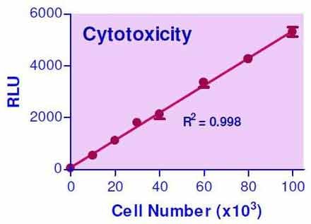 EnzyLight™ Cytotoxicity Assay Kit