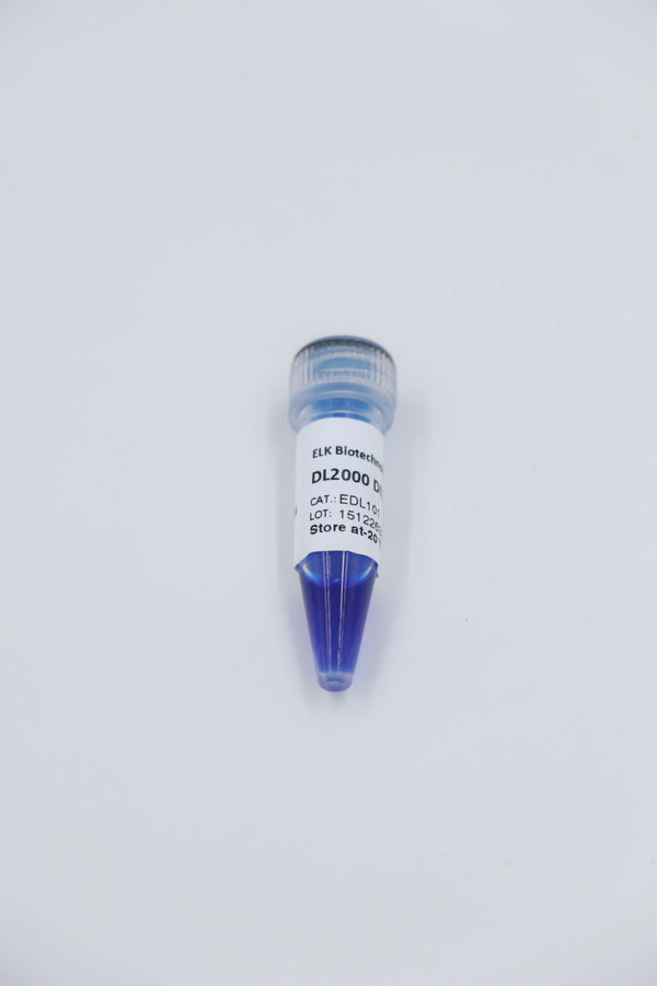 DL2000 DNA Marker – Figure 1 of 1