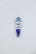 DL5000 DNA Marker – Figure 1 of 1