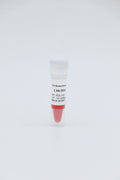1 kb DNA Ladder – Figure 1 of 1