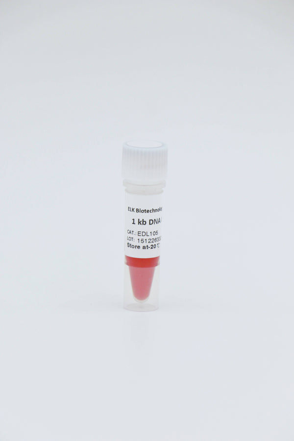 1 kb DNA Ladder – Figure 1 of 1