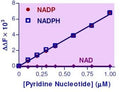EnzyFluo™ NADP/NADPH Assay Kit