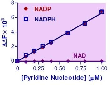 EnzyFluo™ NADP/NADPH Assay Kit