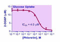 EnzyFluo™ Glucose Uptake Assay Kit
