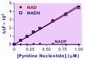 EnzyFluo™ NAD/NADH Assay Kit