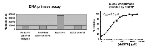S. aureus DNA Primase Assay Kit – Figure 1 of 1